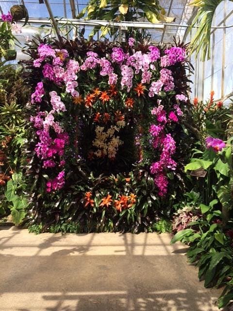 Marie Selby Botanical Gardens Enchanting Floral Displays