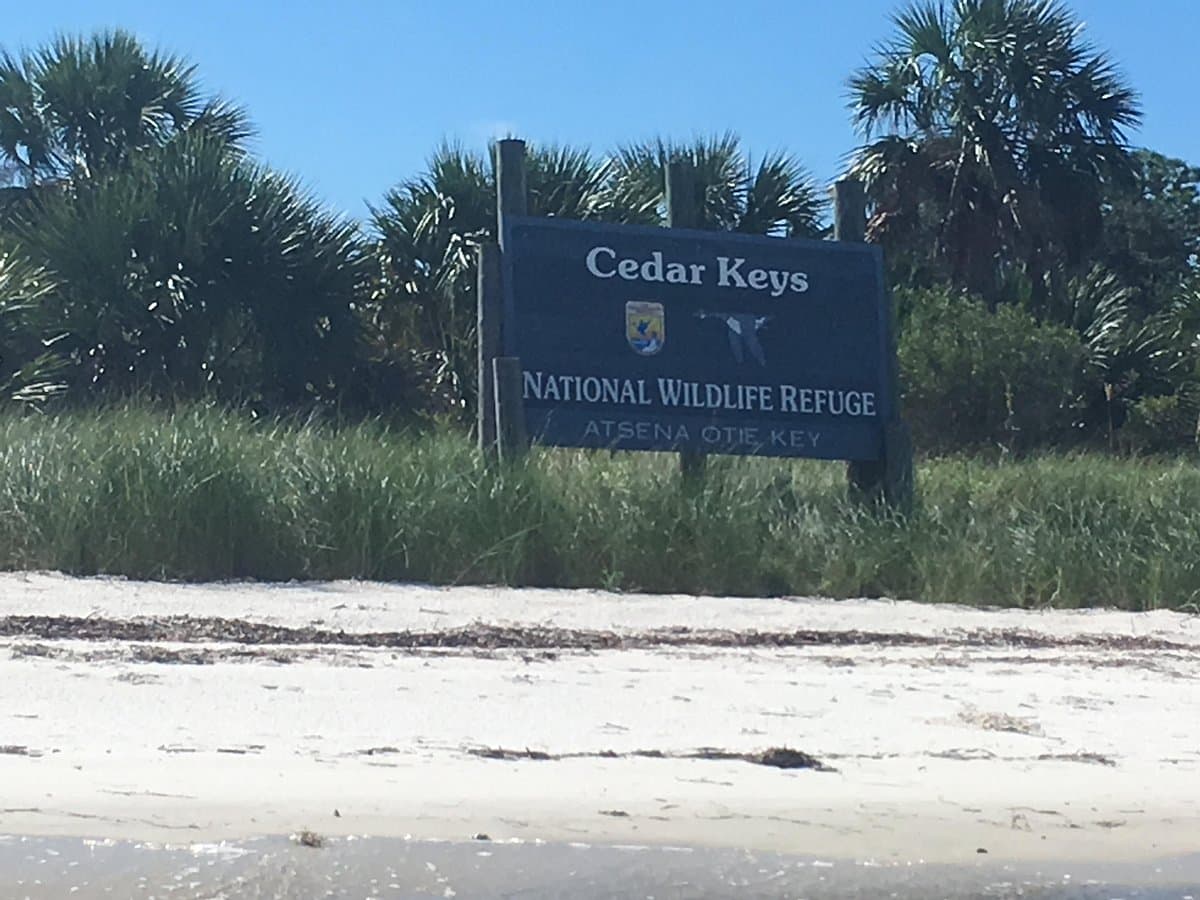 Cedar Key Experience 2