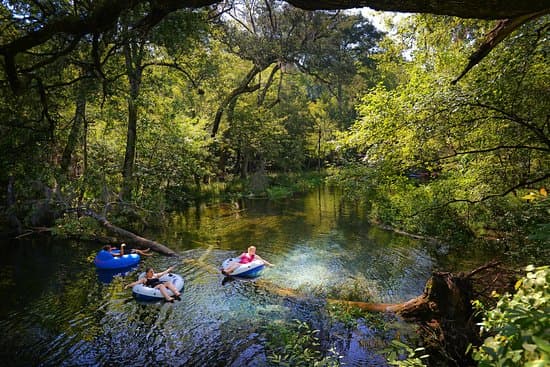 Ichetucknee Springs Tubing Adventure