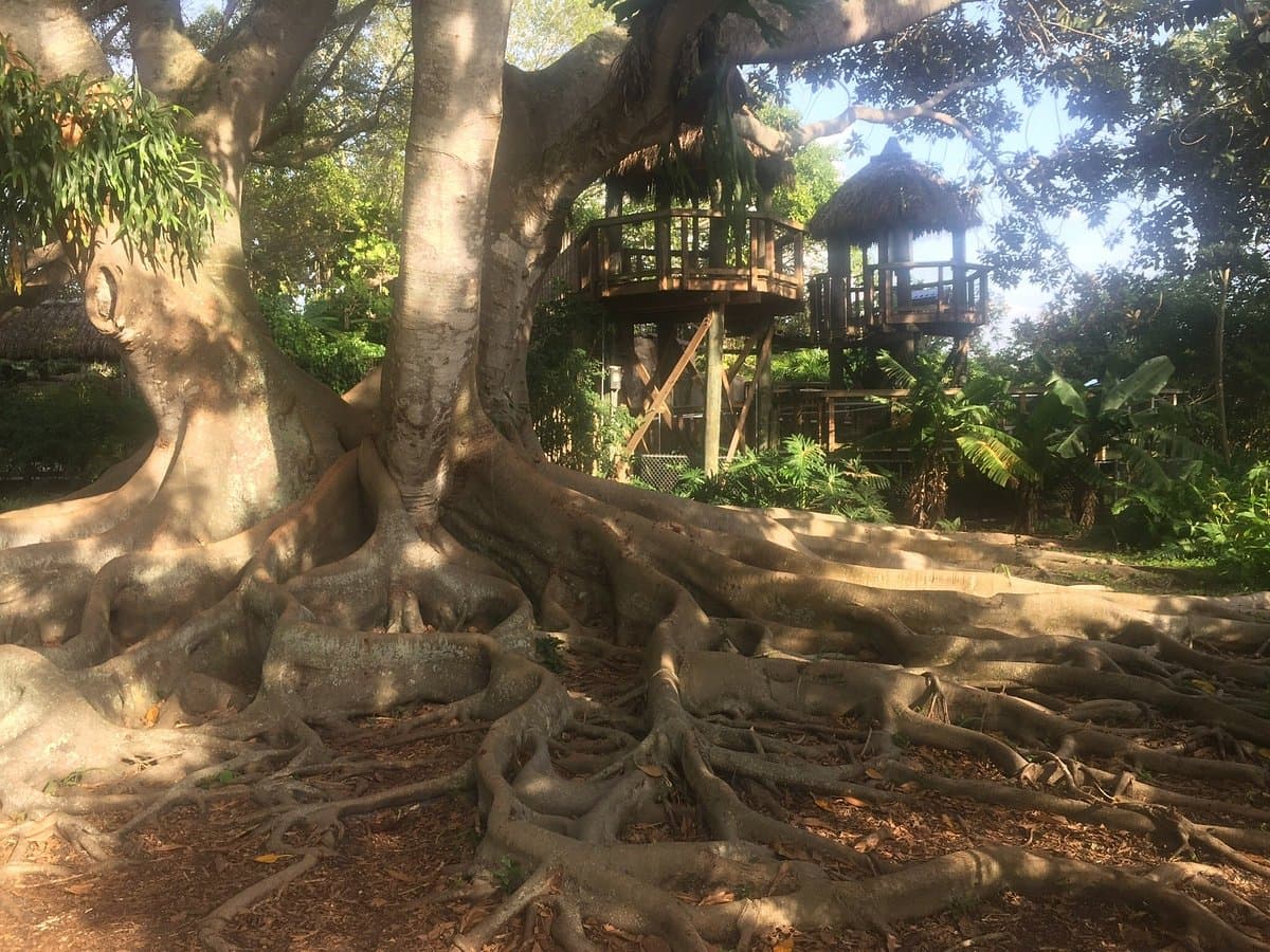 Marie Selby Botanical Gardens Hidden Cultural History