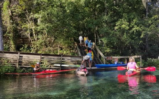 Ichetucknee Springs Visitor's Perspective 2