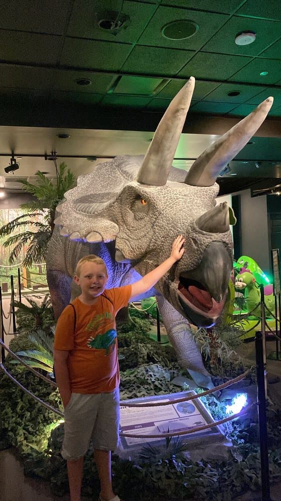 Dino Safari USA Tips for an Unforgettable Visit