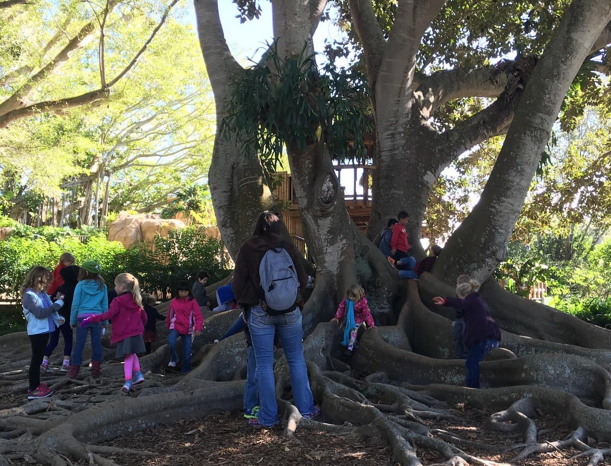 Marie Selby Botanical Gardens Educational Exhibits and Workshops