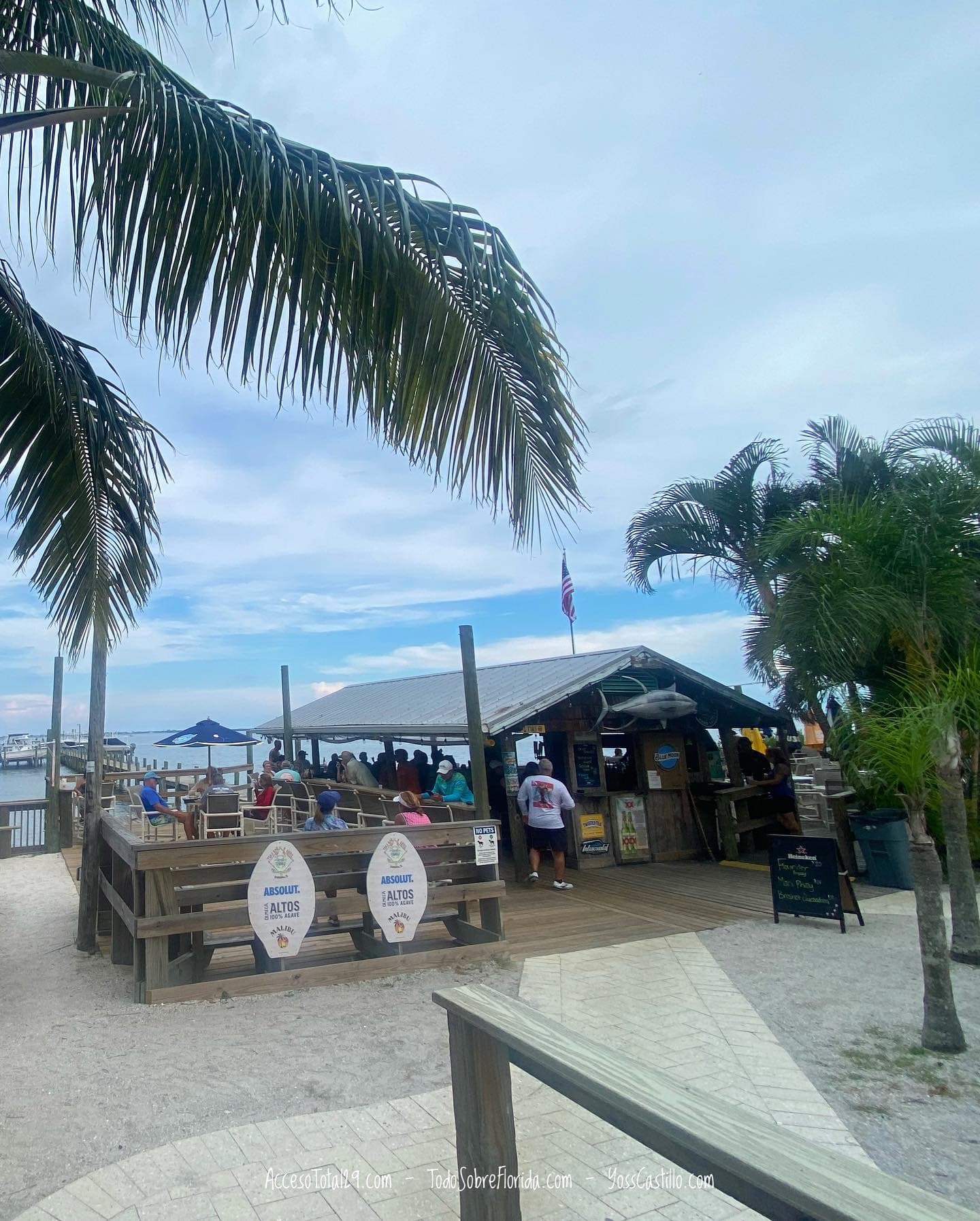 Freezer Tiki Bar, Homosassa Introduction