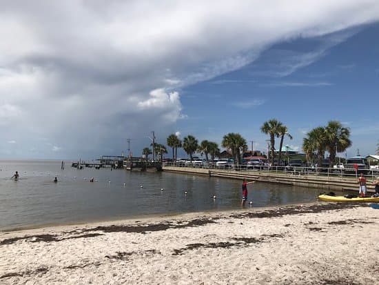 Cedar Key CTA