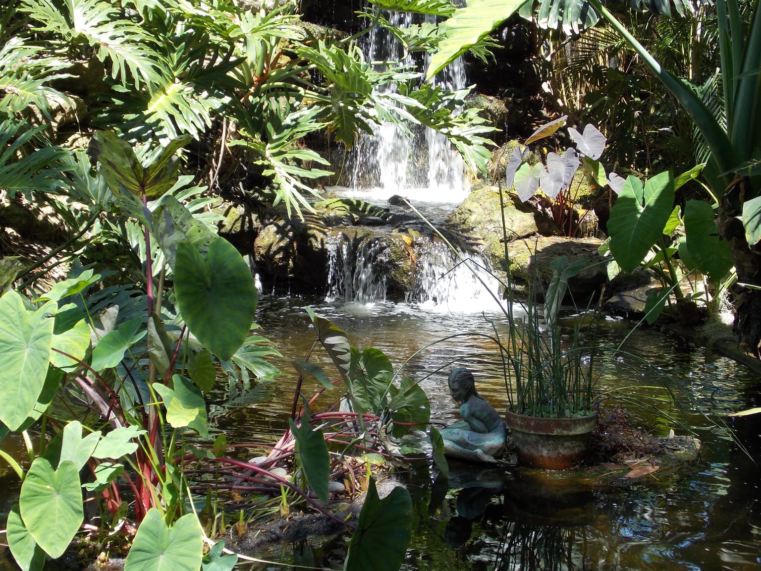 Marie Selby Botanical Gardens Lush Gardens and Tropical Delights