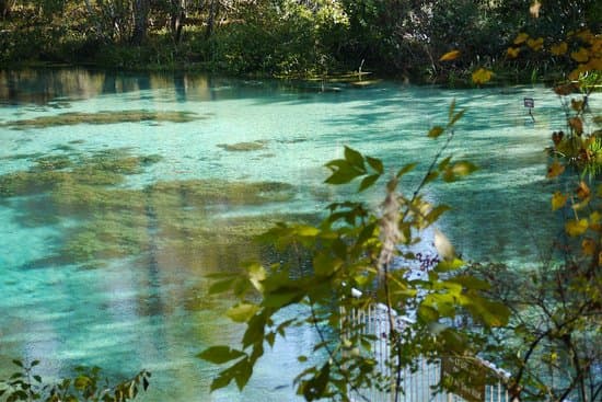 Ichetucknee Springs Crystal-Clear Springs