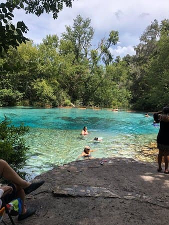 Ichetucknee Springs Visitor's Perspective 1