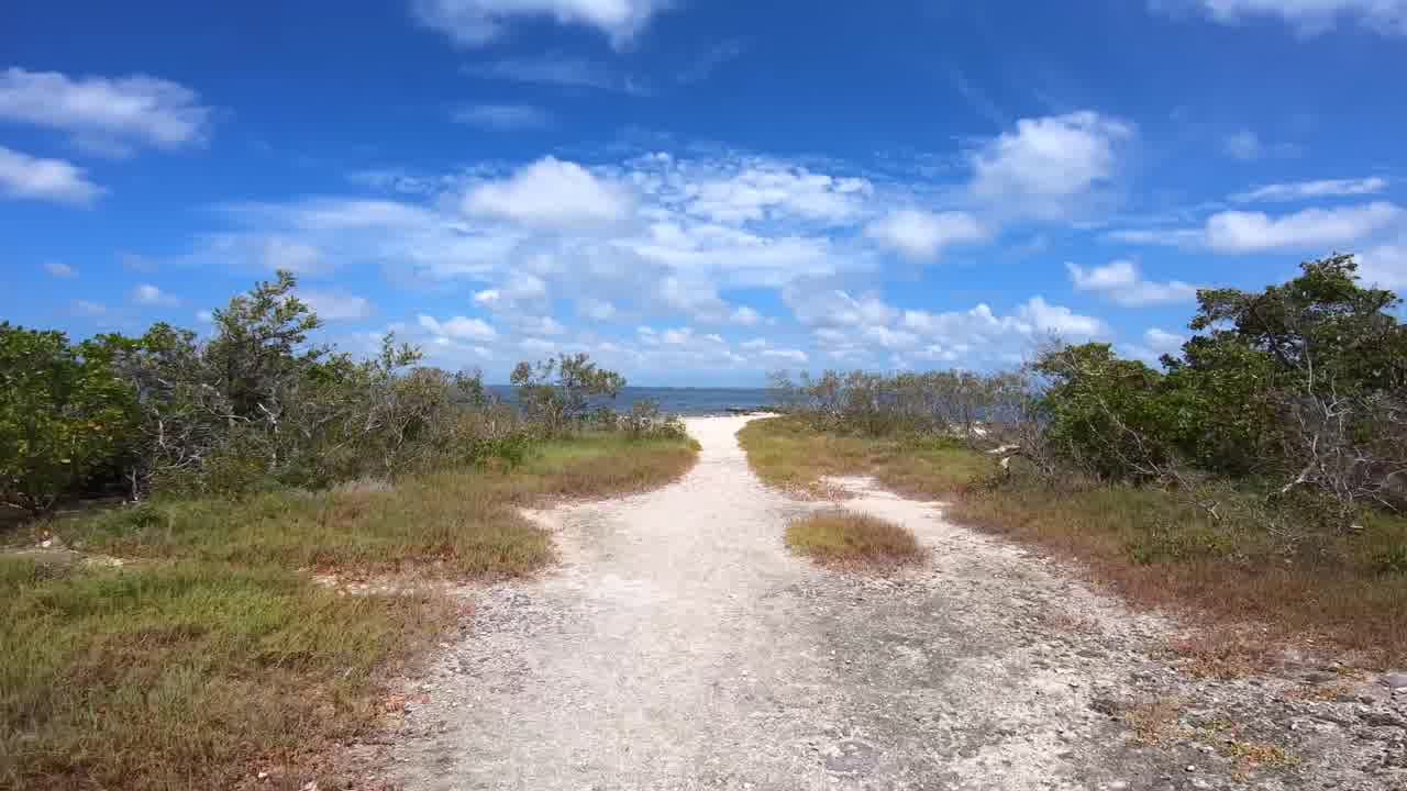 Bahia Honda State Park Myth Busting Underwater Snorkeling