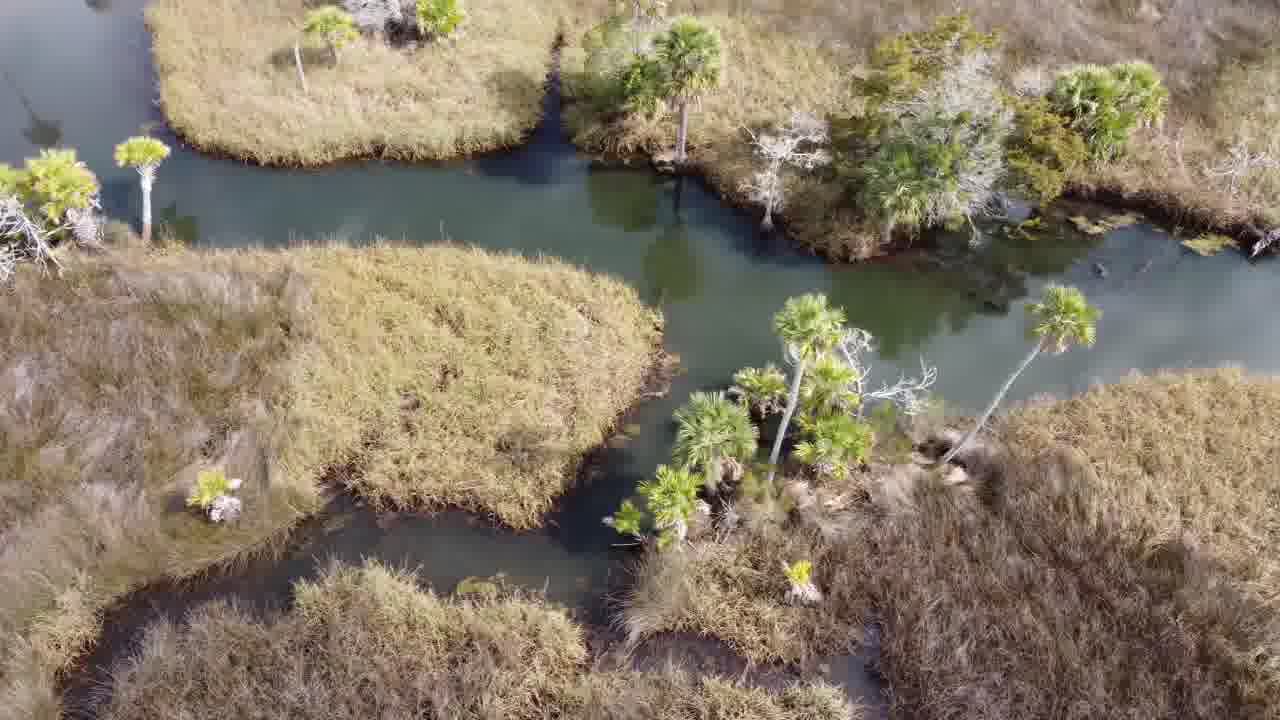 Discover the Enchanting Beckton Spring: A Nature Lover's Paradise