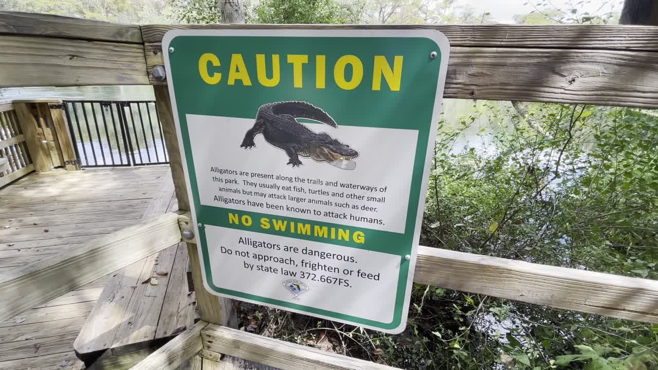 Silver Springs State Park Wildlife Spotting