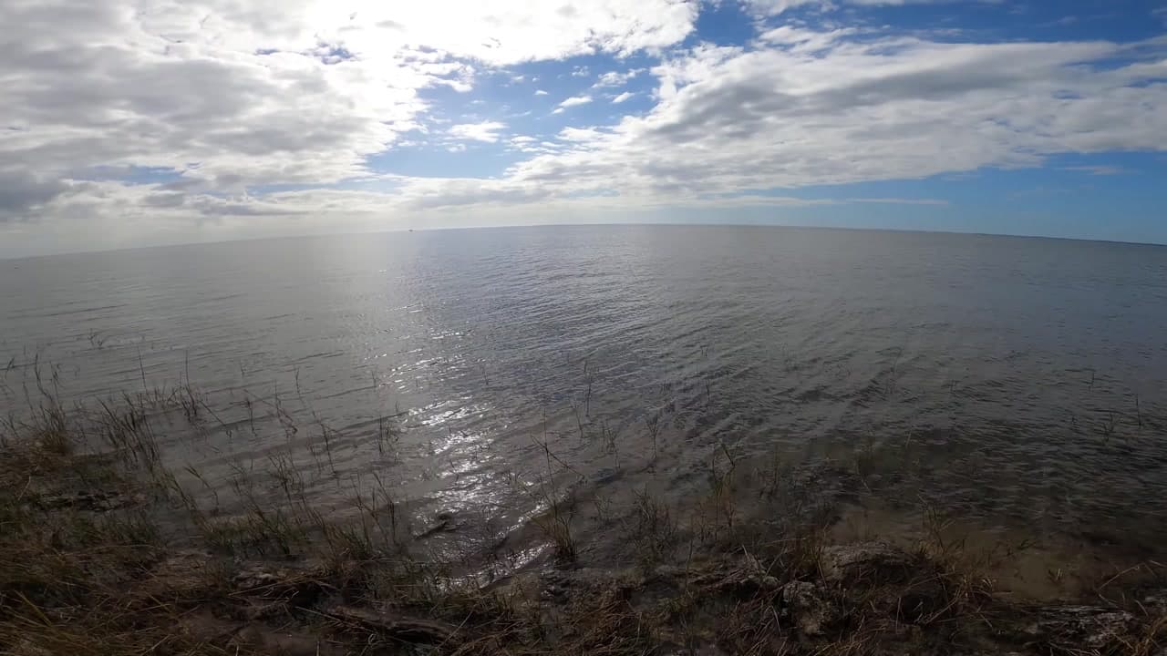 St. Marks National Wildlife Refuge Nearby Coastal Delights