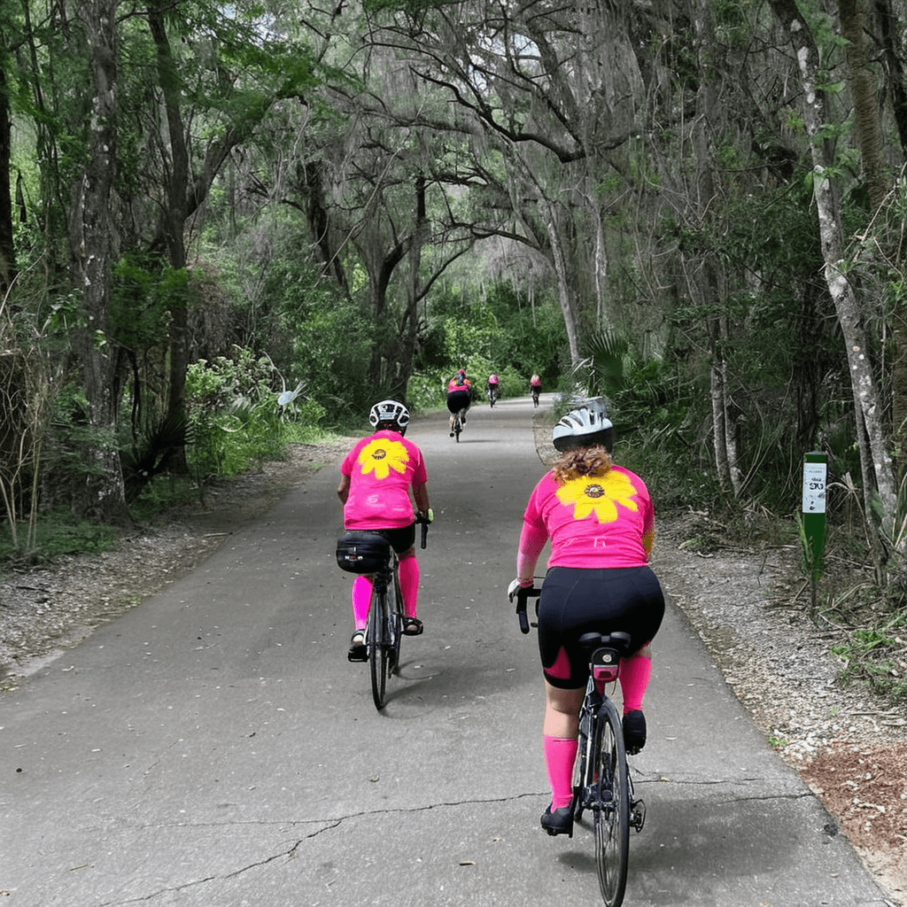 Southern Glades Trail - florida Conclusion : Southern Glades Trail