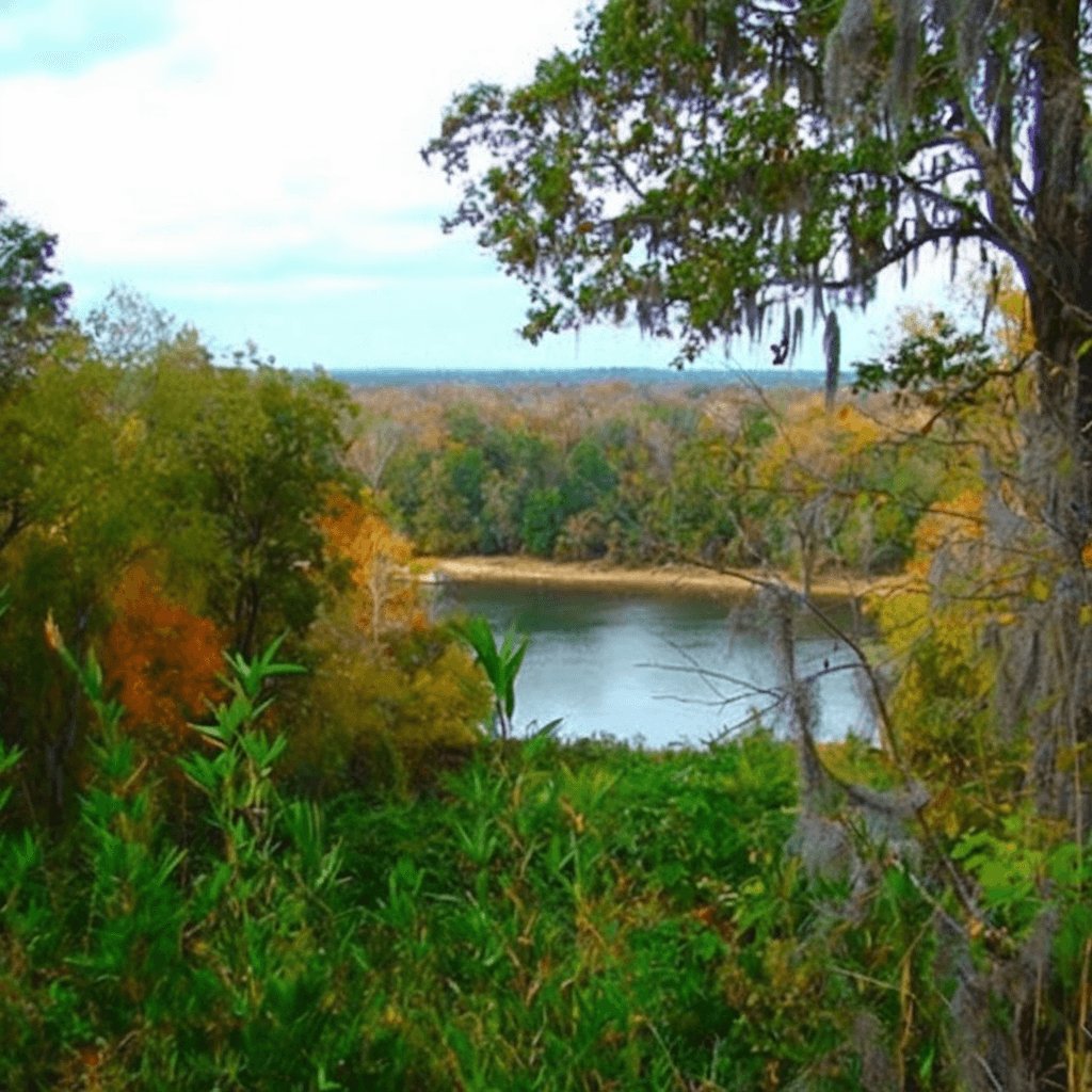 Torreya State Park - florida Conclusion :  Torreya State Park