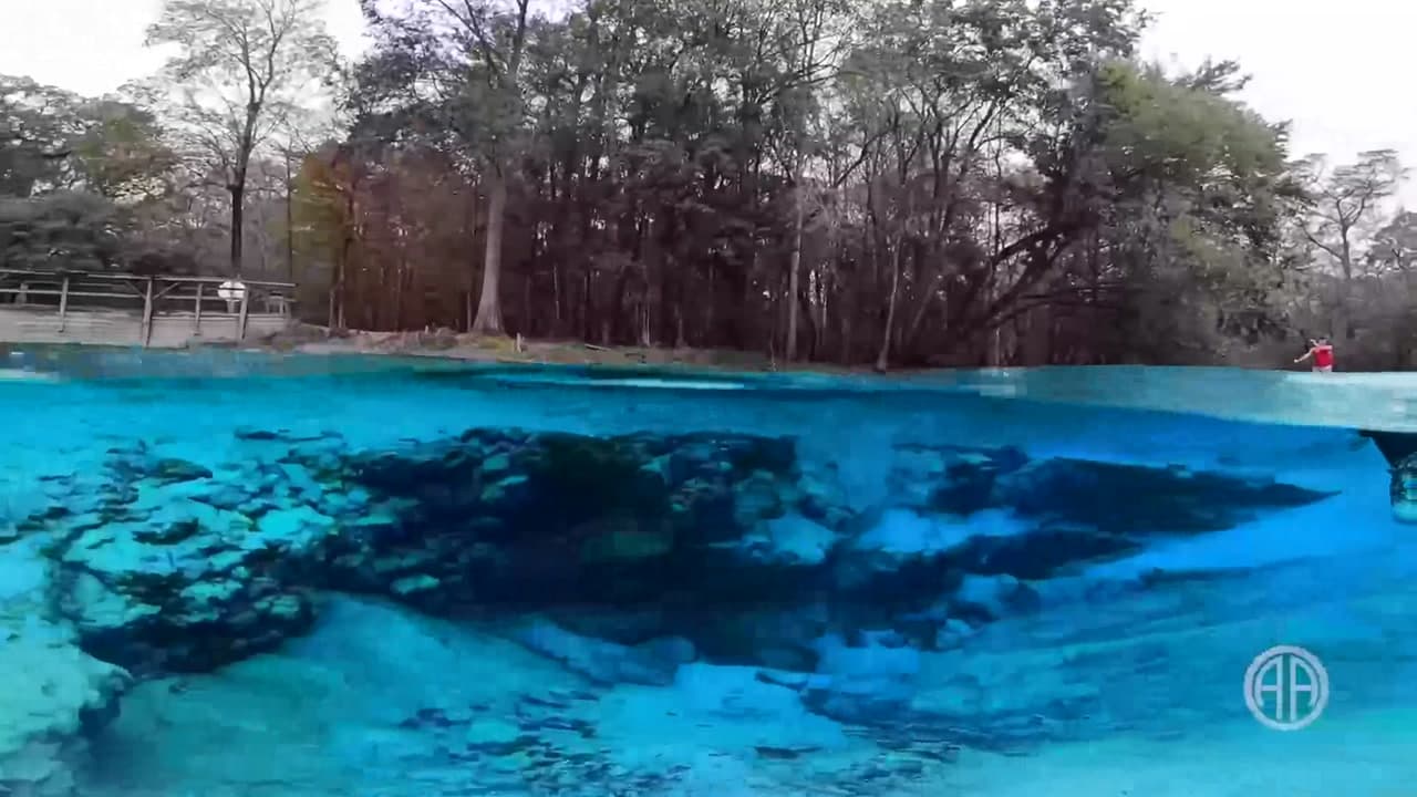 Ginnie Springs Trail - Florida Common Misconceptions :  Ginnie Springs Trail