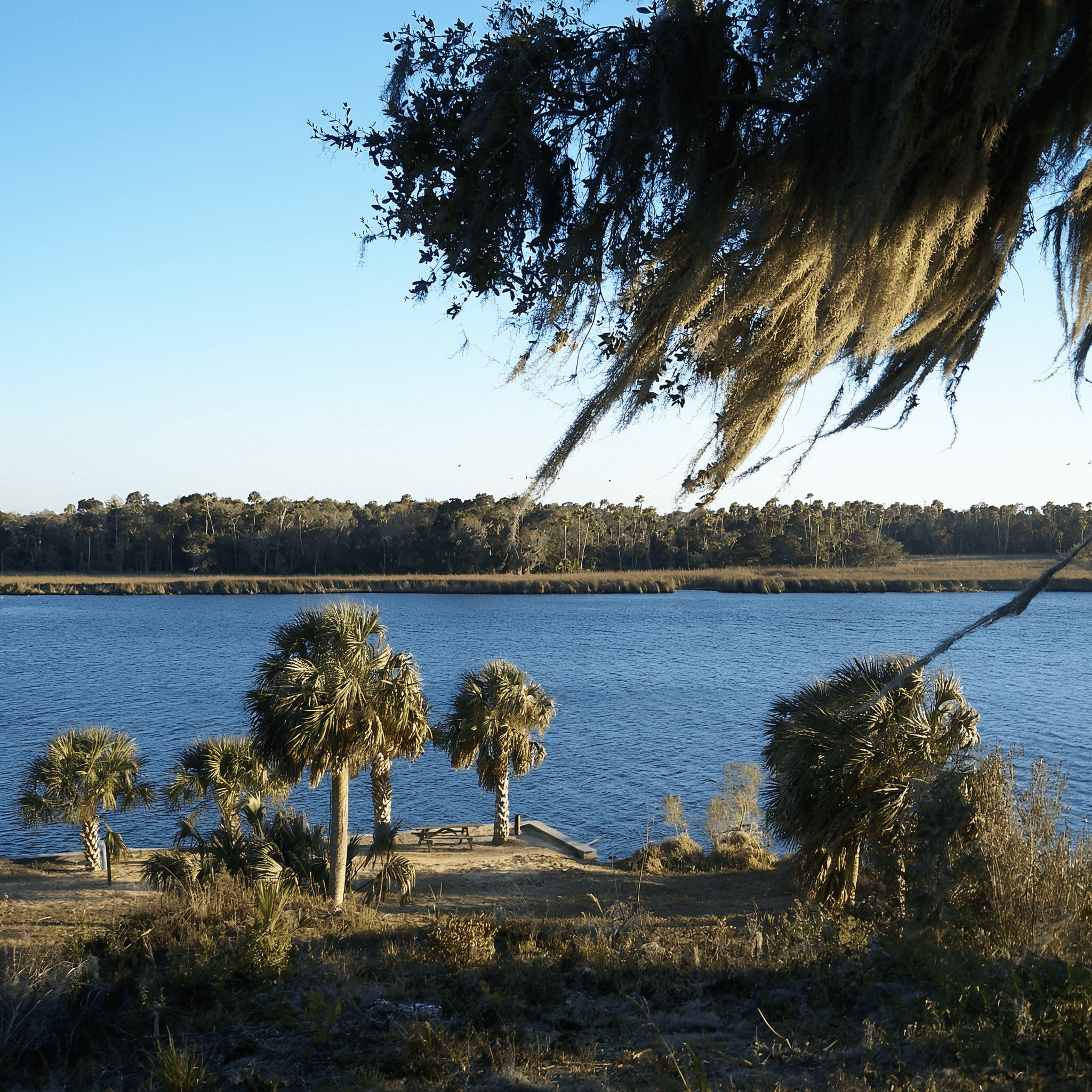 Discover Crystal River: A Manatee Paradise in Florida!