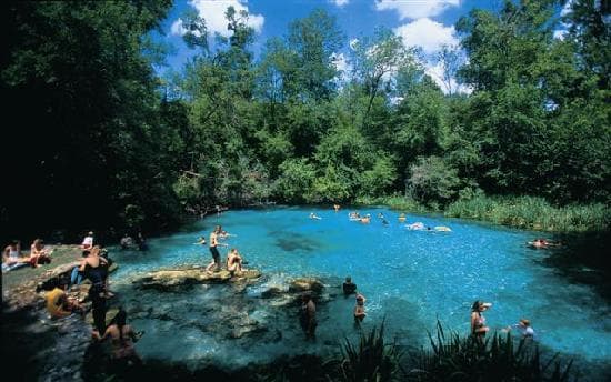 Ichetucknee Springs Snorkeling Exploration