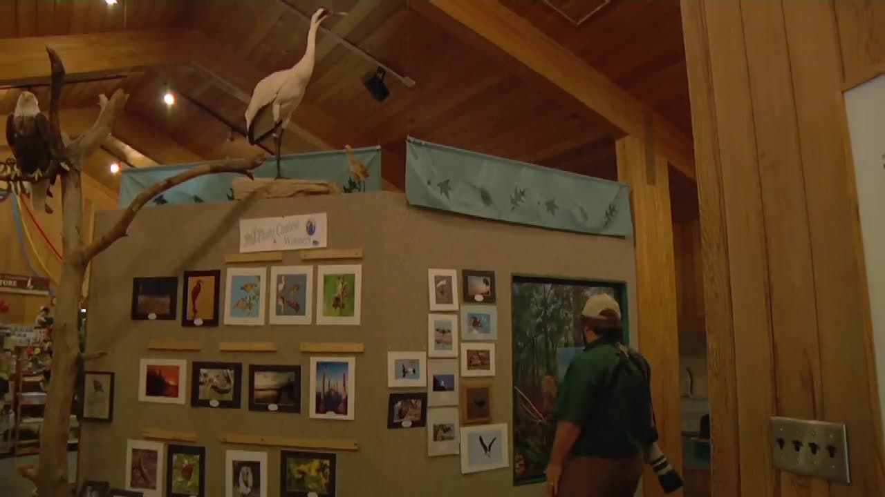 St. Marks National Wildlife Refuge Preserving Fragile Ecosystems