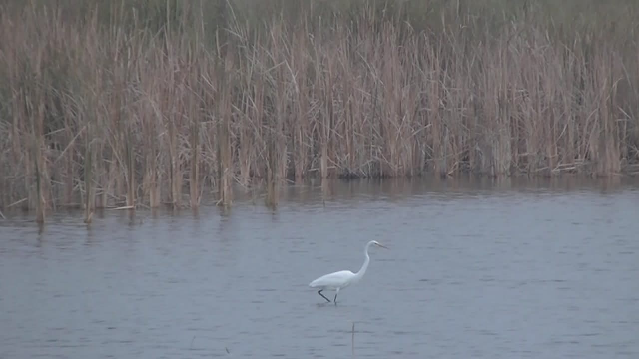 St. Marks National Wildlife Refuge Capture Magical Moments