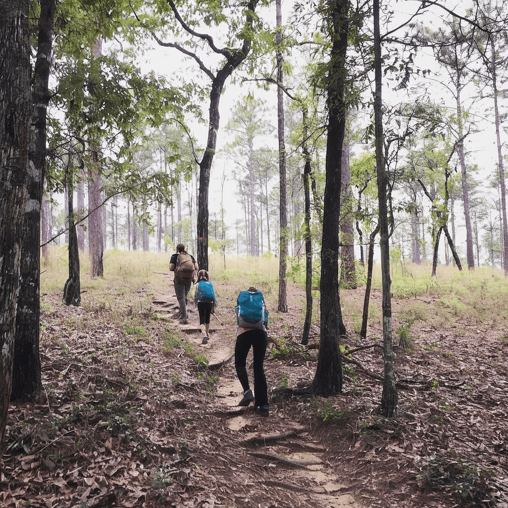 Torreya State Park - florida How to Enjoy : Torreya State Park