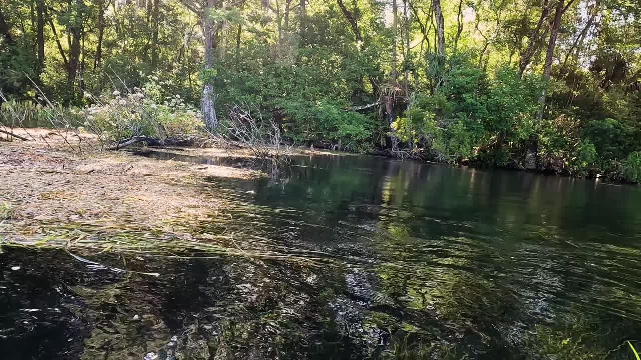 Rainbow Springs Embark on a Scenic Hike