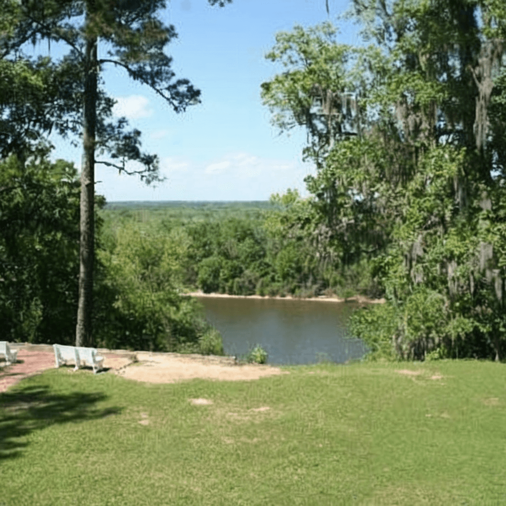 Torreya State Park - florida Introduction :  Torreya State Park