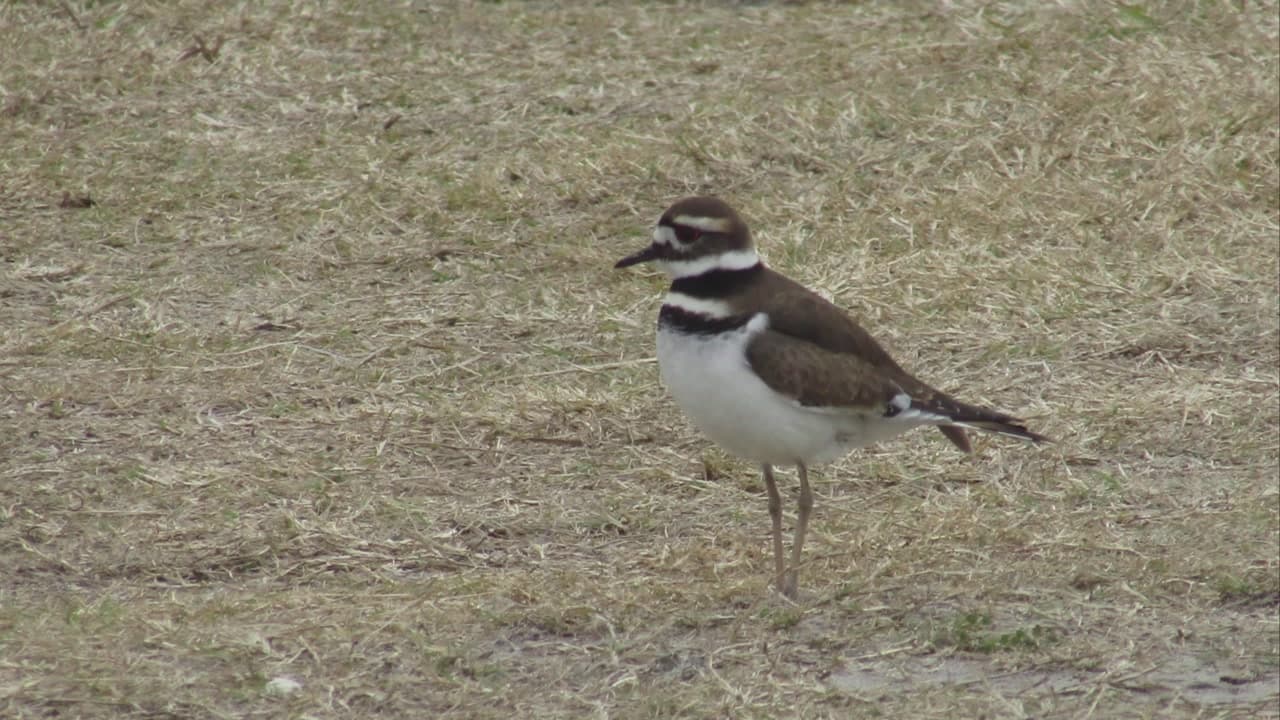 St. Marks National Wildlife Refuge Introduction