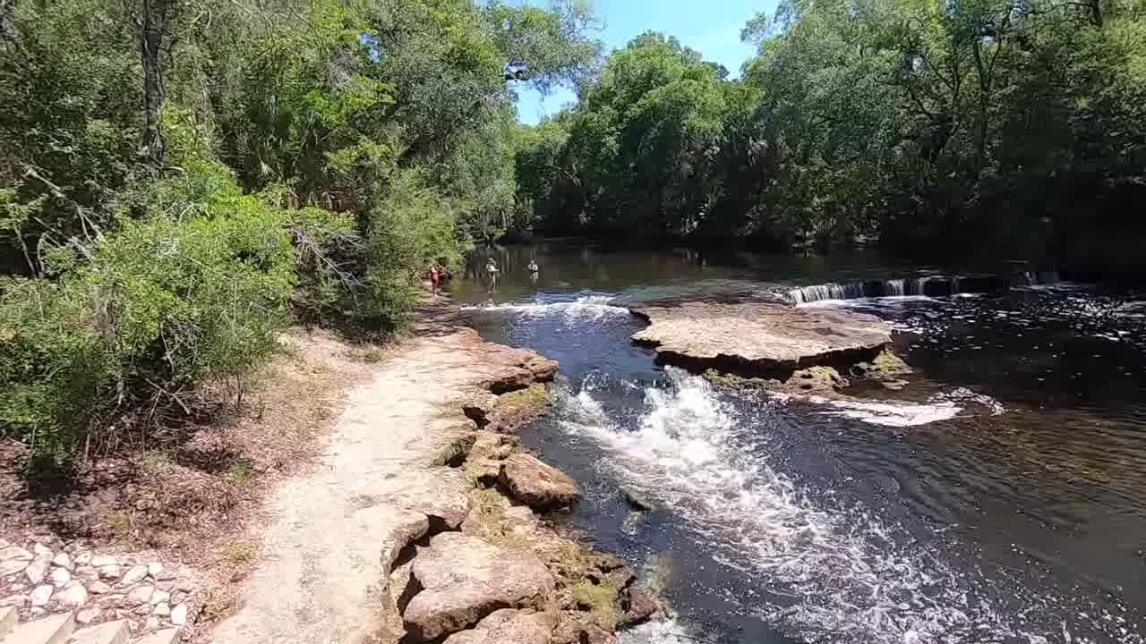 Steinhatchee Falls Tranquil Nature Trails