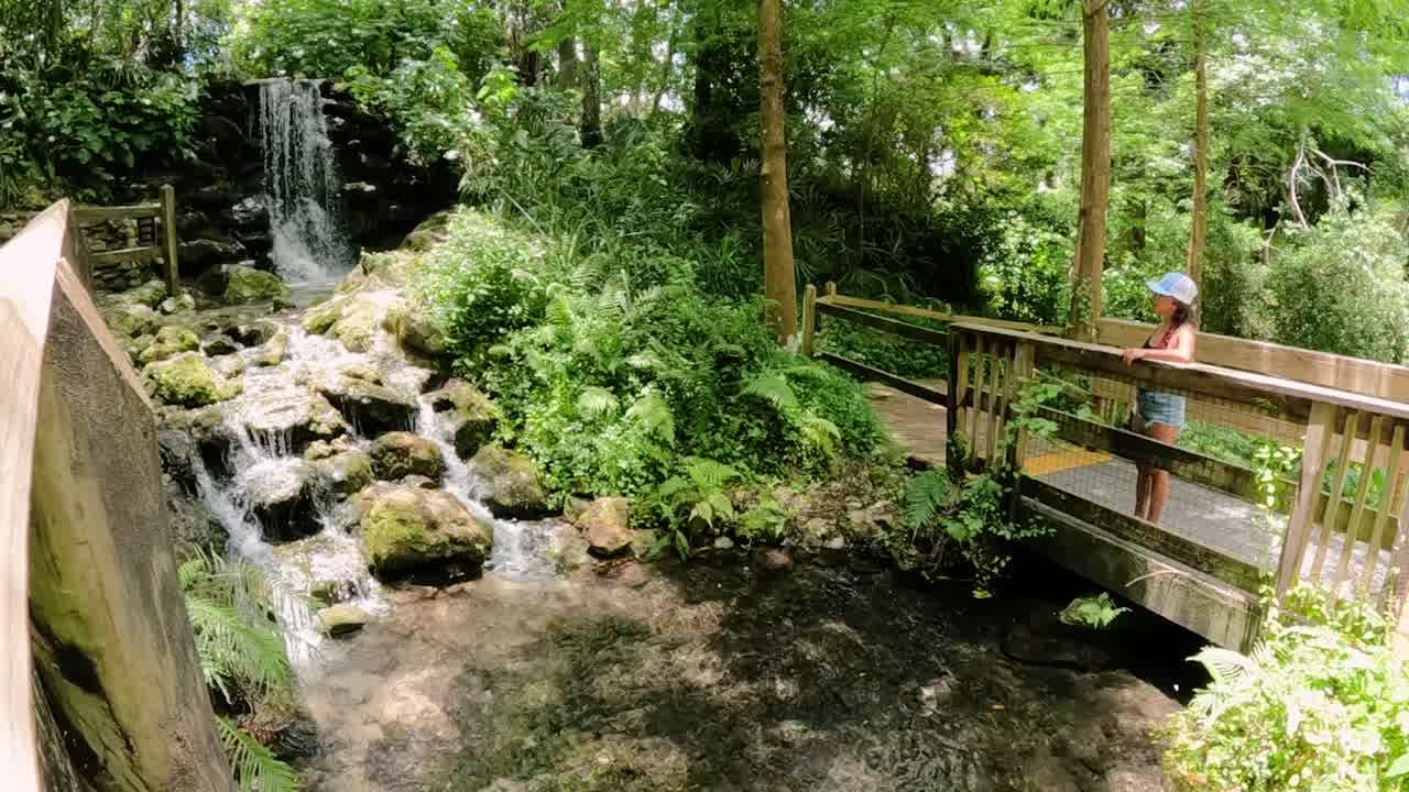 Rainbow Springs Waterfalls that Captivate