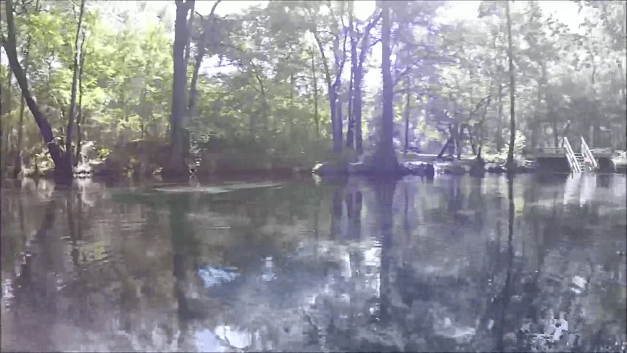 Ginnie Springs Trail - Florida Personal Experience : Ginnie Springs Trail