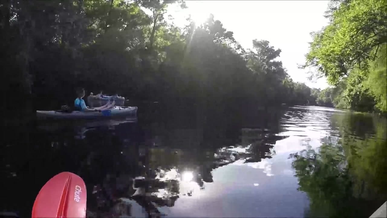 Ginnie Springs Trail - Florida How to Enjoy : Ginnie Springs Trail