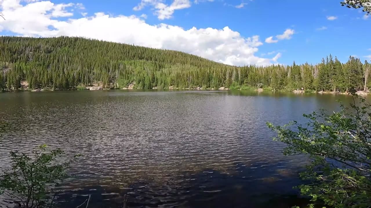 Nymph Lake Trail - Colorado Introduction : Nymph Lake Trail