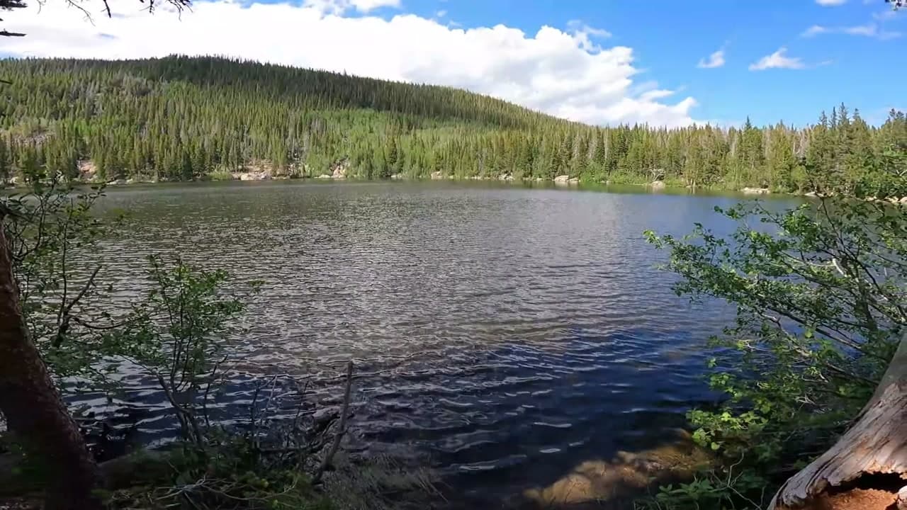 Nymph Lake Trail - Colorado How to Enjoy : Nymph Lake Trail