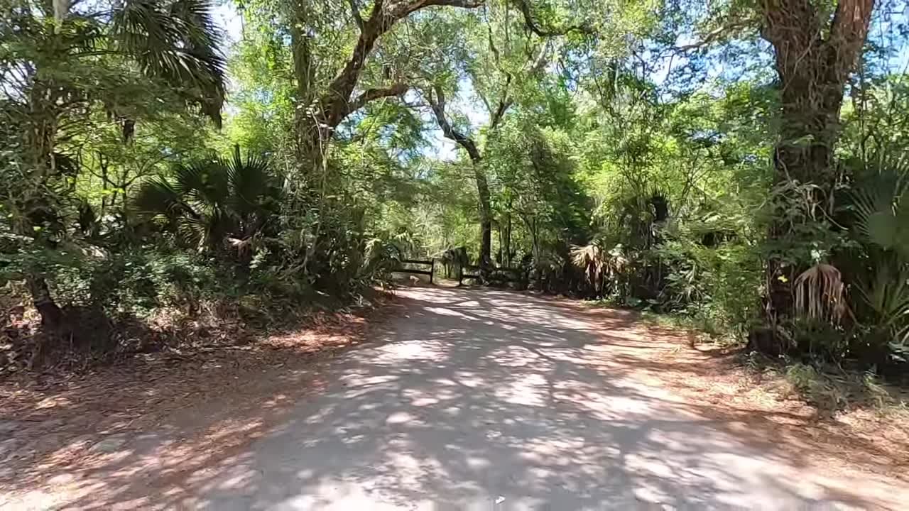 Steinhatchee Falls Explore Nearby Wonders