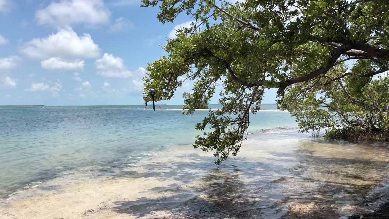 Bahia Honda State Park Introduction