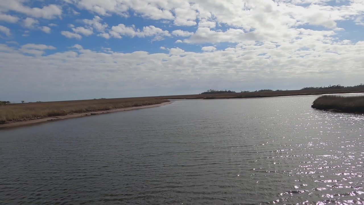 St. Marks National Wildlife Refuge Biodiversity at Its Finest