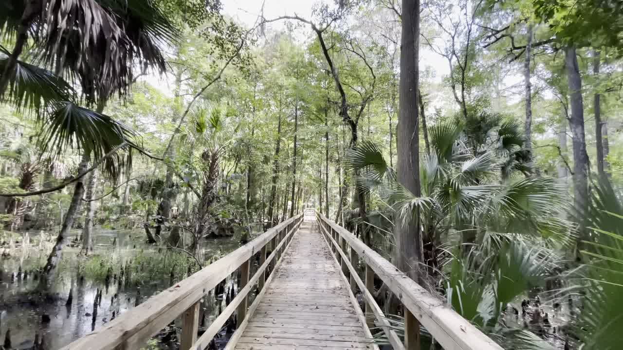 Silver Springs State Park Diverse Wildlife Haven