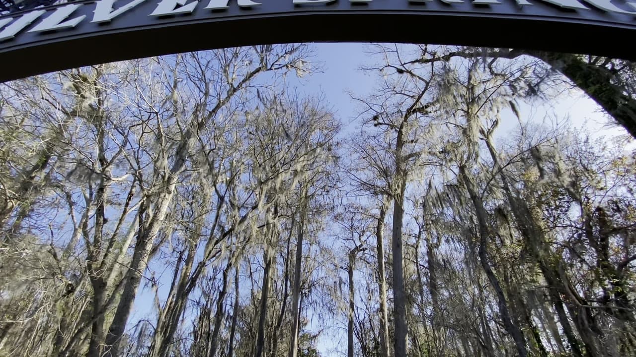 Discover the Enchanting Beauty of Silver Springs State Park