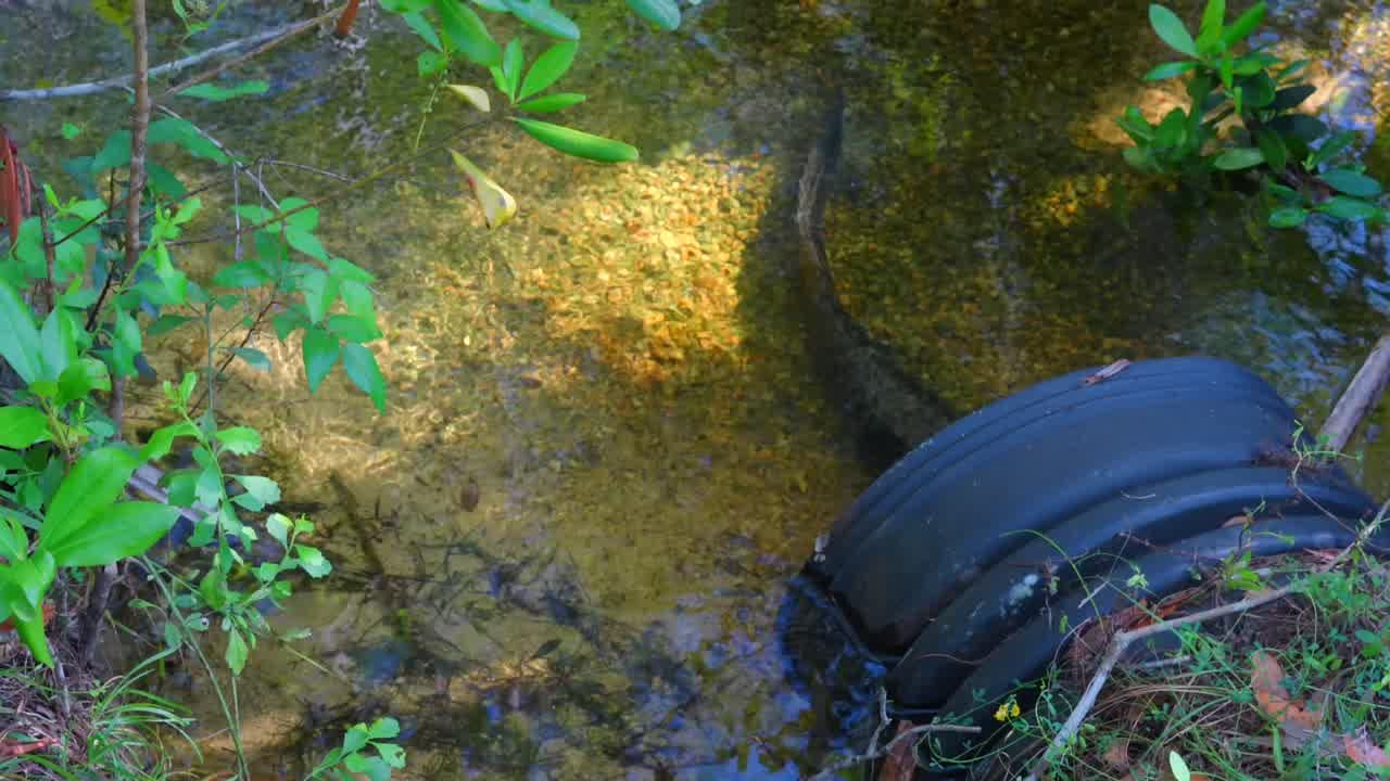 Spanish Pond Loop Trail - florida How to Enjoy : Spanish Pond Loop Trail