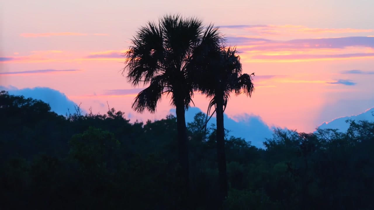 Spanish Pond Loop Trail - florida What Else to Enjoy : Spanish Pond Loop Trail