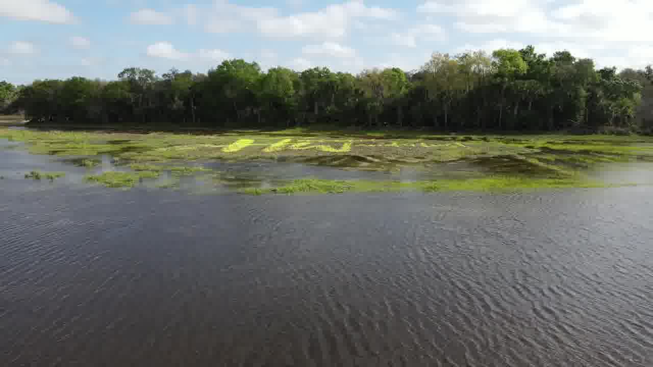 Exploring the Hidden Beauty of Spanish Pond Loop Trail in Florida