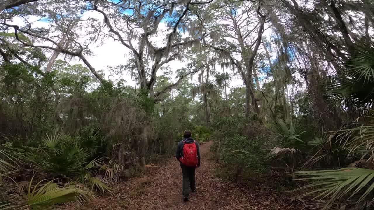 Unveiling the Biodiversity Oasis: Discover the Wonders of St. Marks National Wildlife Refuge