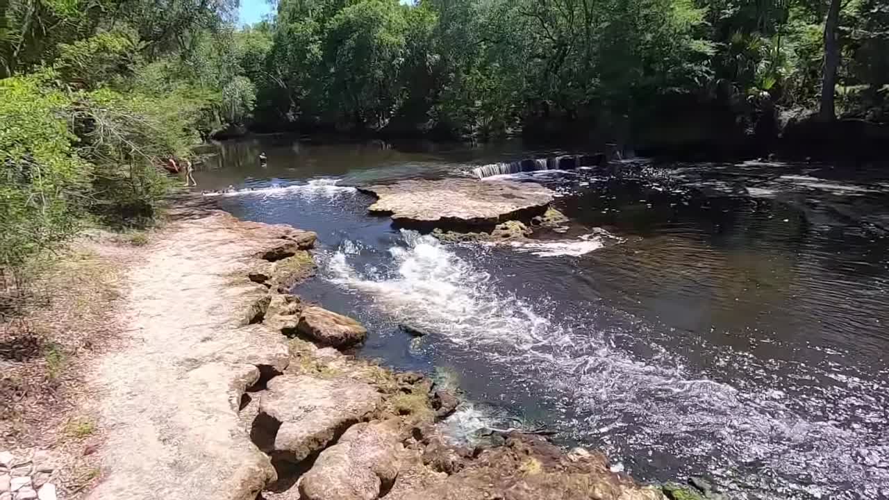 Steinhatchee Falls: Discover Florida's Widest Waterfall