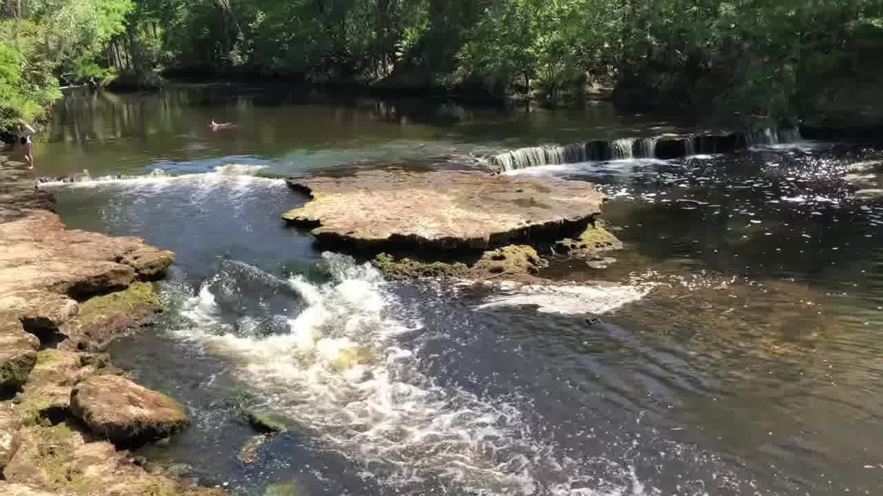 Steinhatchee Falls Steinhatchee Falls: A Natural Wonder