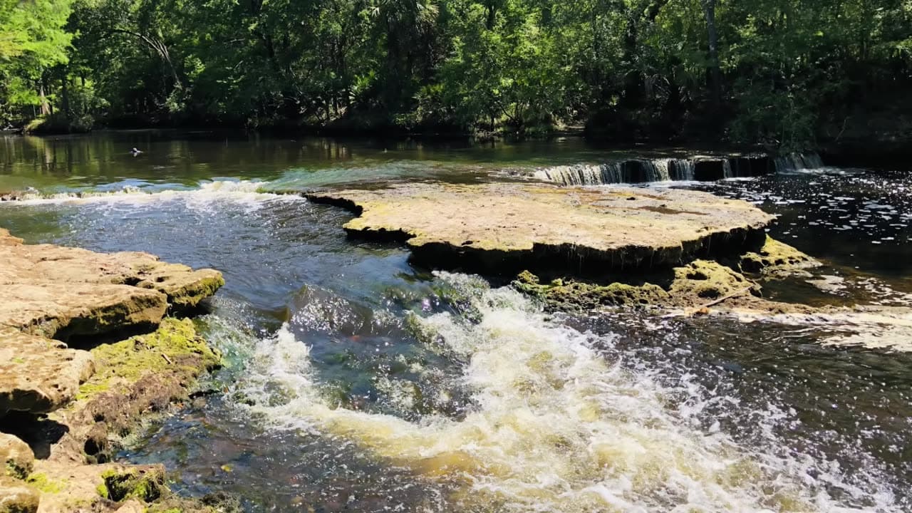 Steinhatchee Falls Myth vs. Reality