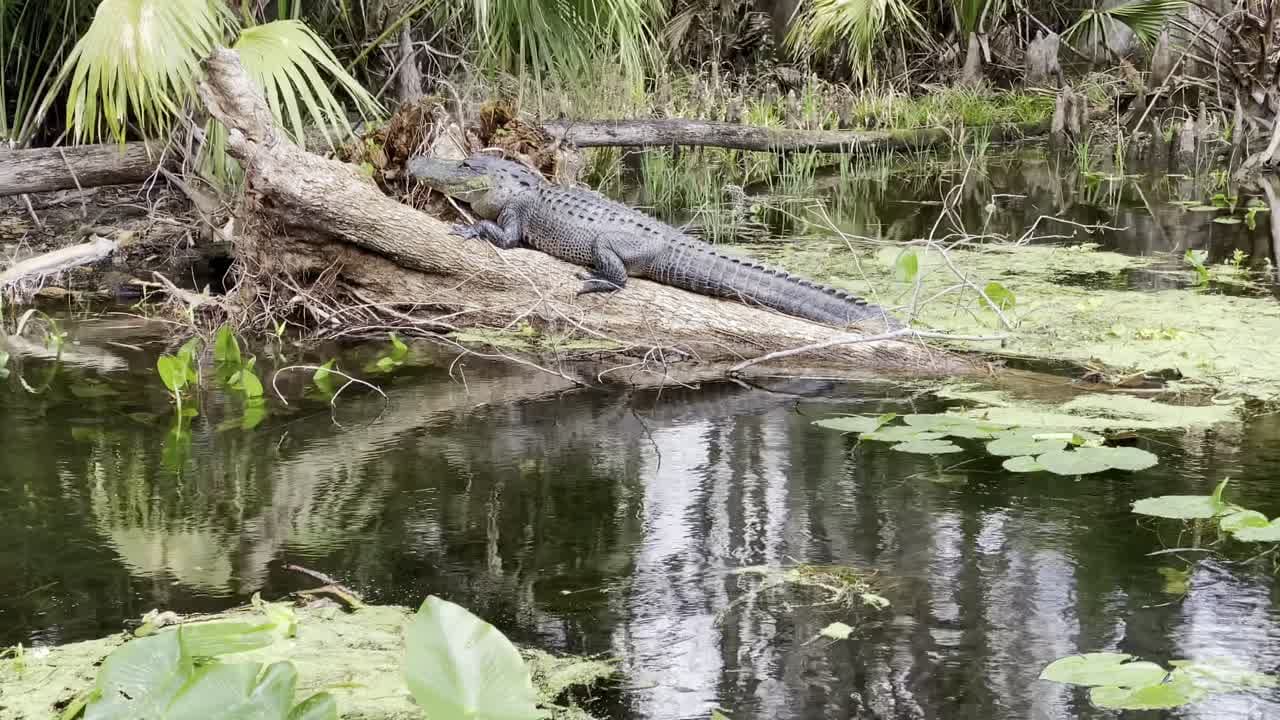 Silver Springs State Park Conclusion