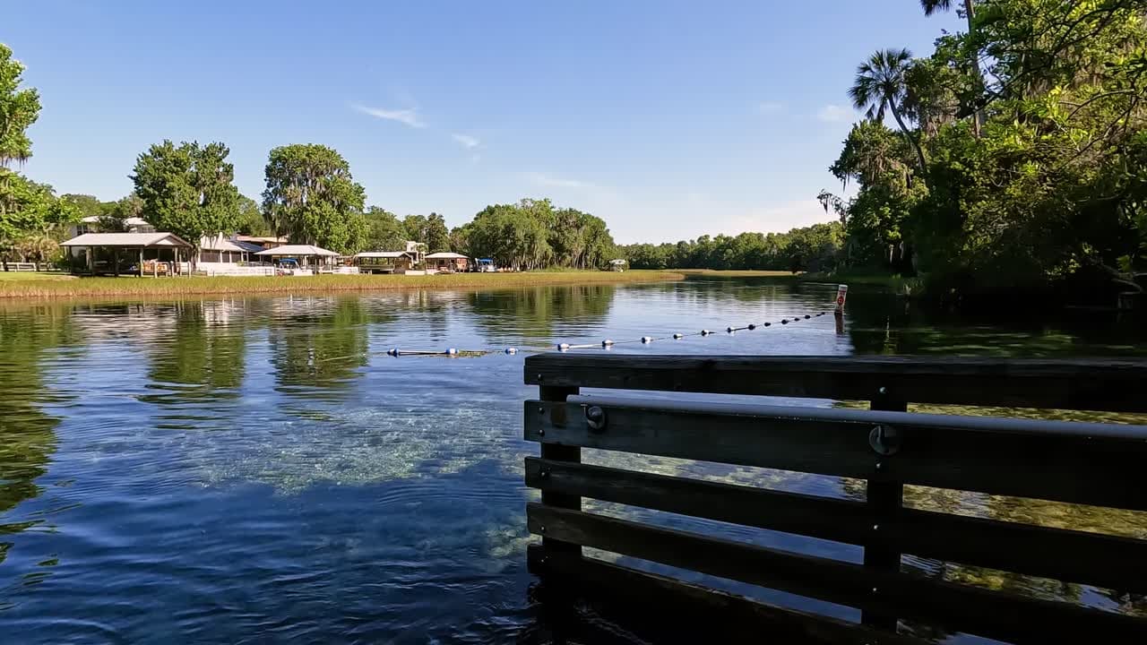 Rainbow Springs Nature's Hidden Secrets