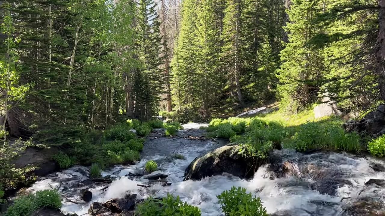 Sprague Lake Boardwalk Trail - Colorado Personal Experience : Sprague Lake Boardwalk Trail