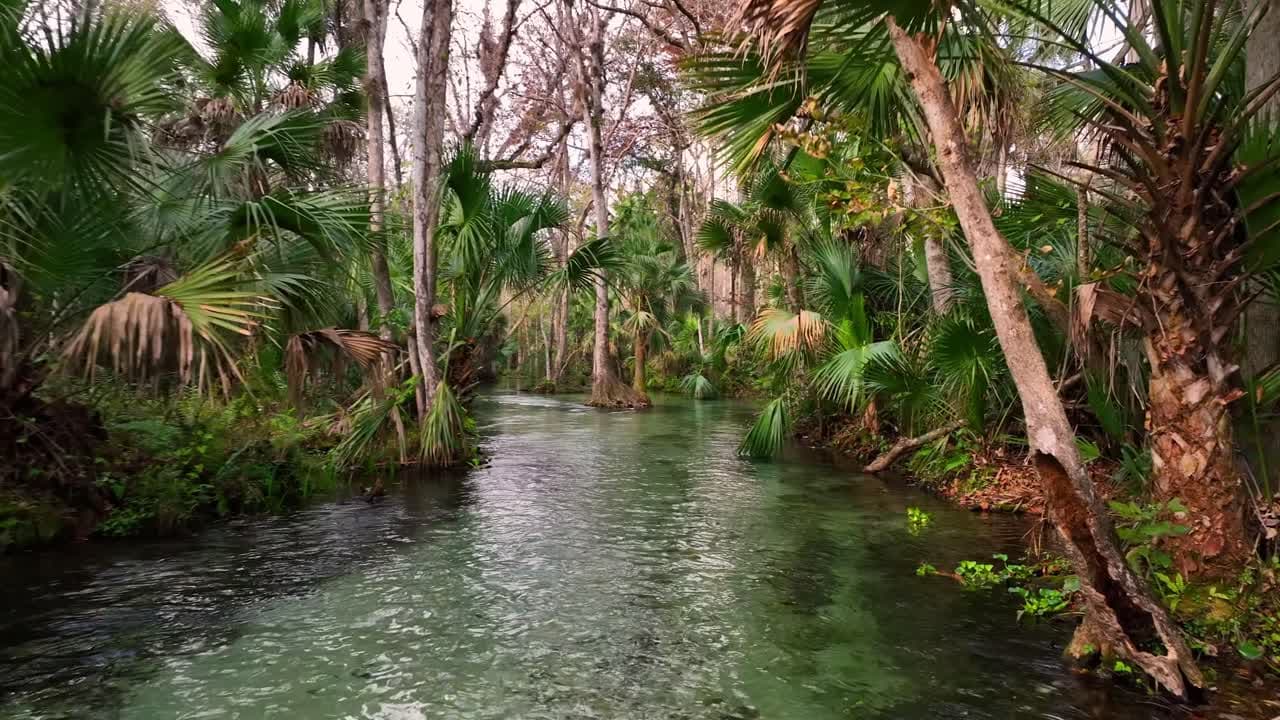 Brunson Landing Spring Diverse Wildlife Encounters