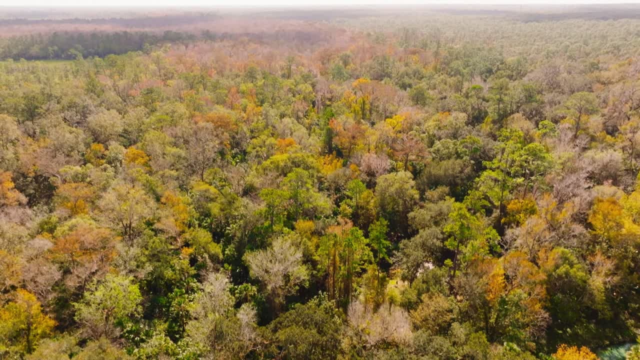 Brunson Landing Spring Conservation Efforts